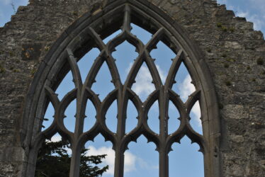 Reticulated tracery. | Christy Cunniffe