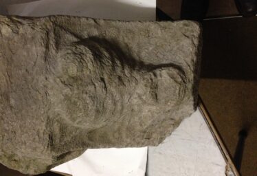 Architectural fragment