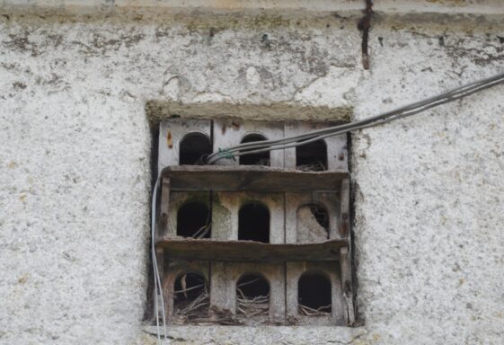 Clonbrock dovecote