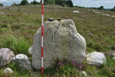 Southern stone in stone pair | Christy Cunniffe