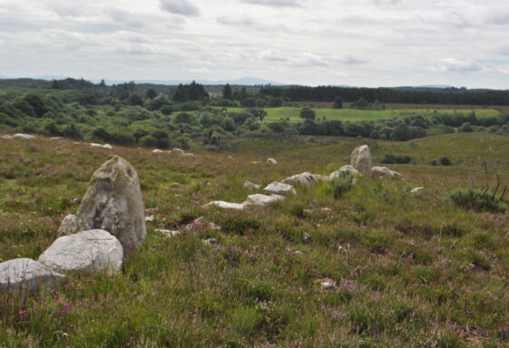 Woodford Stone Pair