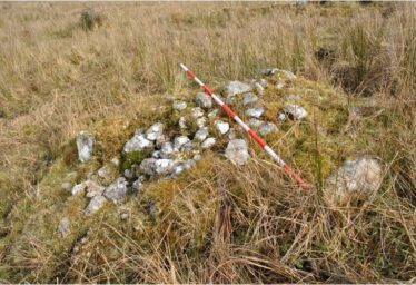 Alleendarra clearance cairn