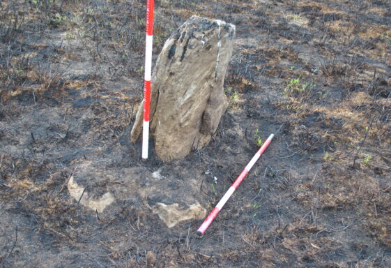 Standing stone Woodford