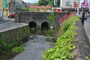 Town moat Loughrea. | Christy Cunniffe