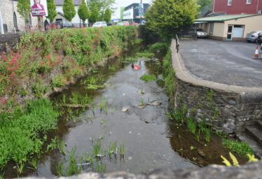 Loughrea town moat.
