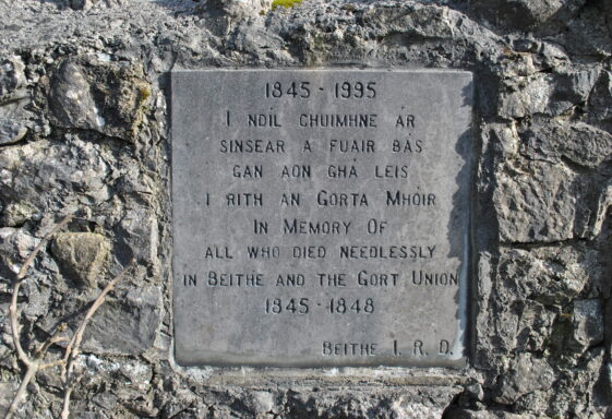 Gort Workhouse graveyard
