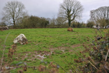 Knockadaumore standing stone/stone pair?