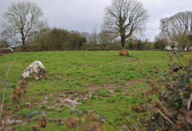 Knockadaumore standing stone/stone pair?