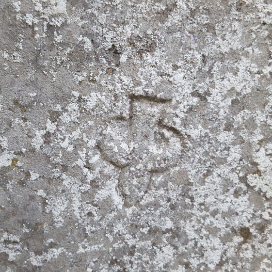 20171027_161237 Trefoil shaped mark. | Christy Cunniffe