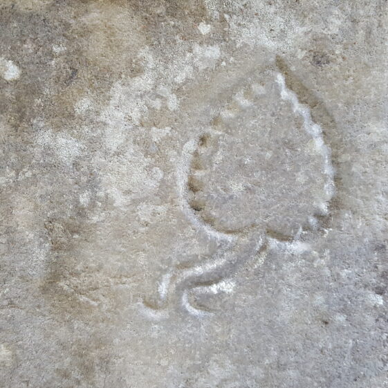 20171027_161327 Heart shaped mark. | Christy Cunniffe