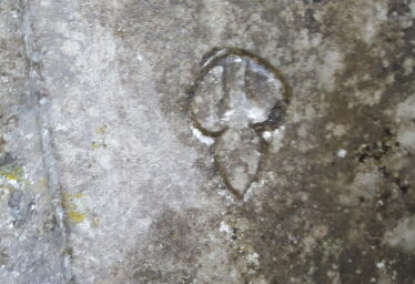 Masons Marks