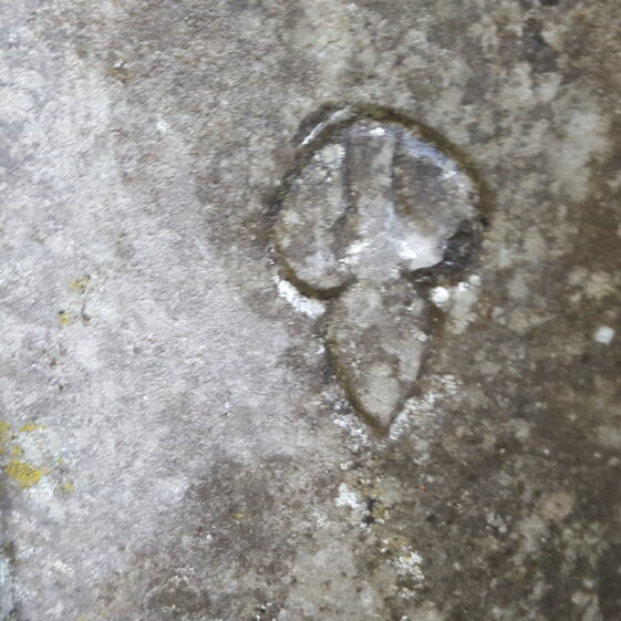 20171027_161403 Leaf shaped mark. | Christy Cunniffe