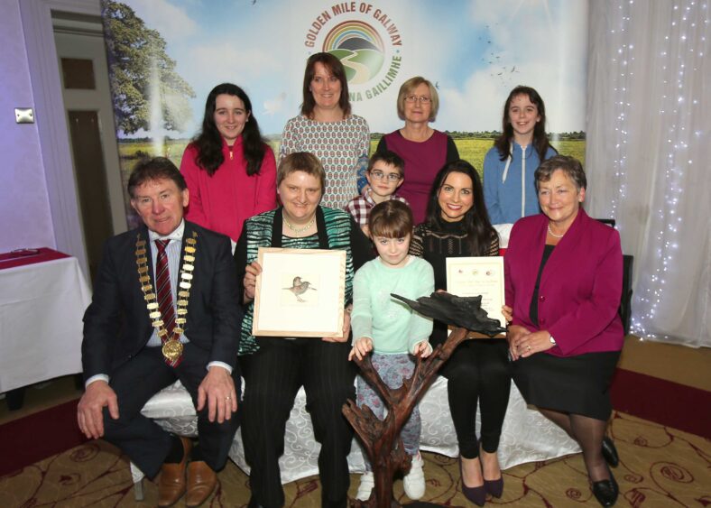 The overall Winner of the Golden Mile Awards 2015 held at the Claregalway hotel was Lisheenaheilta Golden Mile Group, Glenamaddy.
In Picture: Front Row: Cllr. Peter Roche, Cathaoirleach Galway County Council, Mary Brosman, Kayla Comer, Colette Ganley and Ms. Delia, CEO, Colahan ,Galway Rural Development.
Back Row: Emma Comer, Mary Jo Comer, Jack Ganley, Teresa Comer and Mica Comer.