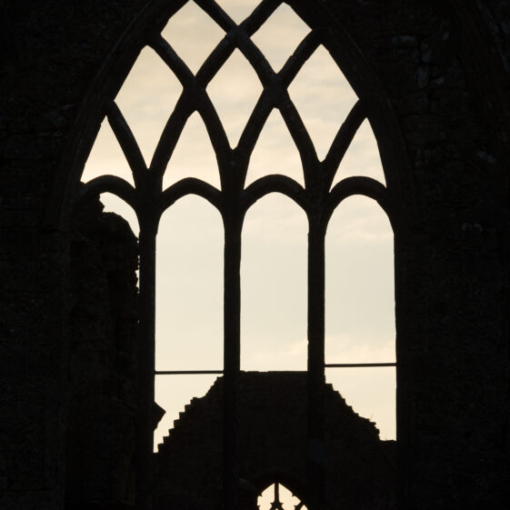 Larry Morgan Photographs | Larry Morgan 