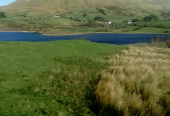 Ballydoolough