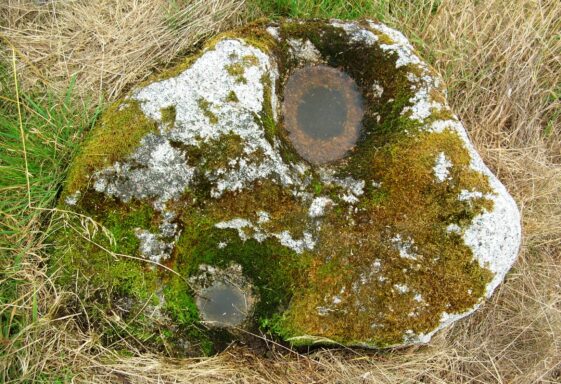 08. Kiltormer/Ballinasloe Road