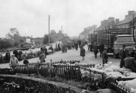 10. Fairs in Killimor