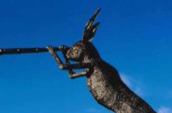 The Inquisitive Hare