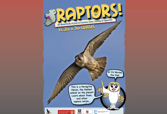 Raptor booklet