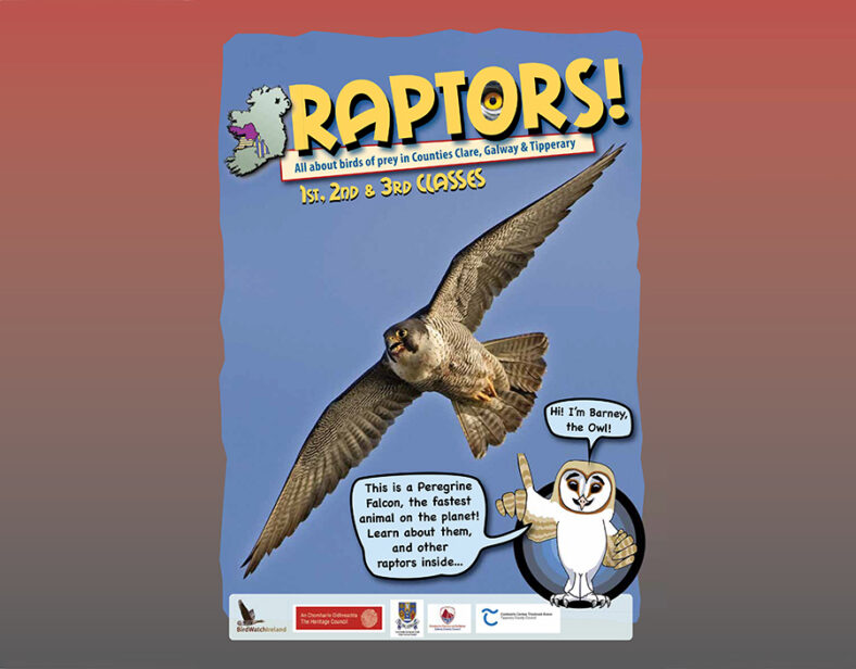 Raptor booklet - Galway County Heritage Office