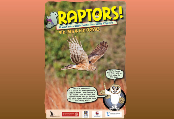 Raptor booklet