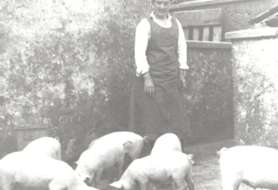 Ballinasloe Fair