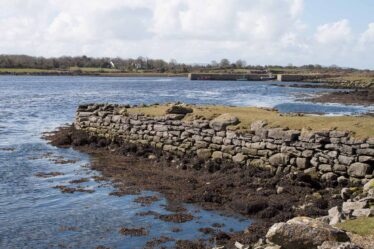Ballynamanagh East | Clarinbridge Heritage