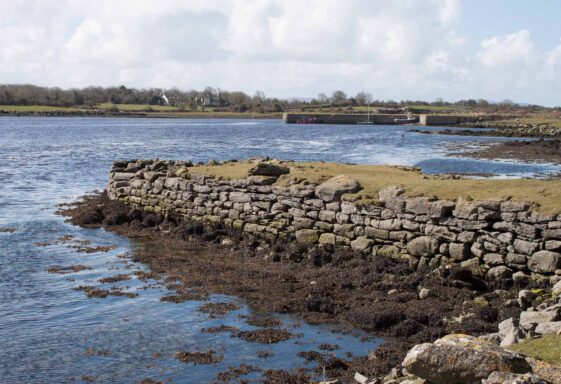 Ballynamanagh East