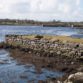 Townlands of Civil Parish of Stradbally, Co.Galway