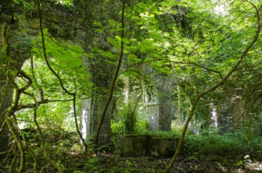 Four arches of mill at Woodlawn House | Frank Nevin