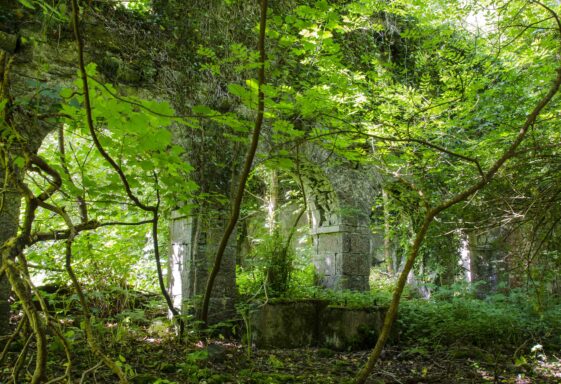 The  Mill at Woodlawn House