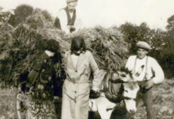 Gathering Hay 1929