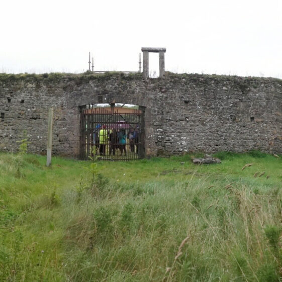Garden Panorama | Mountbellew Heritage and Tourism Network