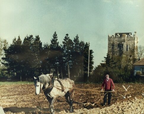 Plowing with Horses C.1973