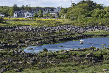 River Ford | Oranmore Heritage