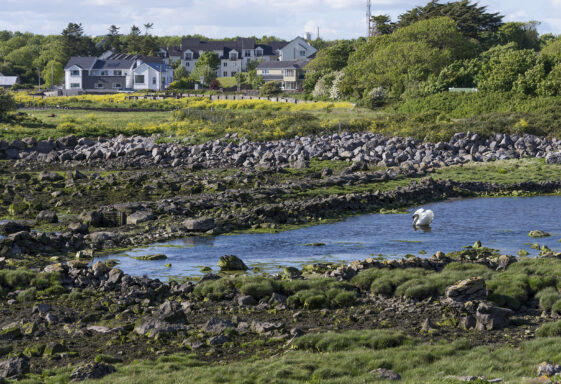 18. River Ford