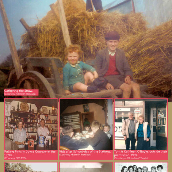 Galway's Gastronomic Heritage Project | County Galway Heritage Office