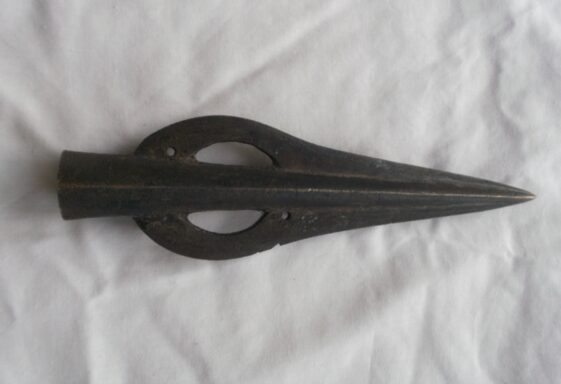 Woodlawn: Moyarwood Spearhead