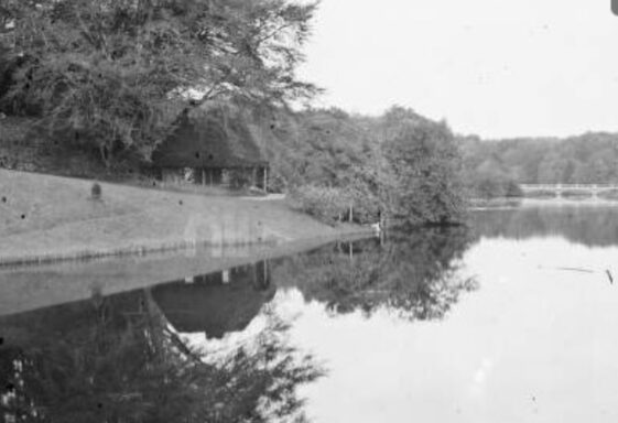 Woodlawn: Demesne Lake
