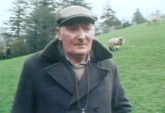 Sheep farming and helicopter in Glann 1985