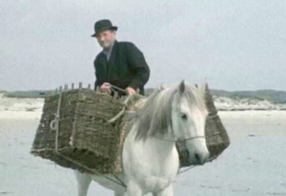 Life on Inisbofin 1977