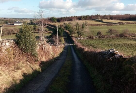 Ardaun East