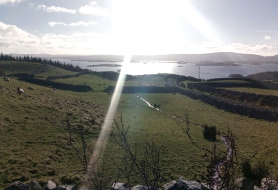 Ardaun West
