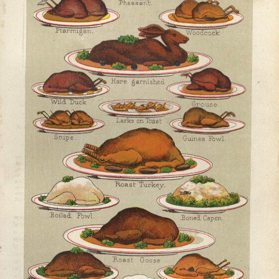 Mrs Beeton's Every Day Cookery. C.1930