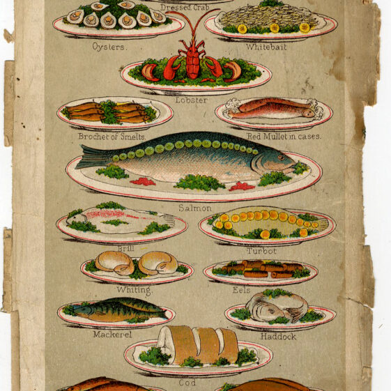 Mrs Beeton's Every Day Cookery. C.1930