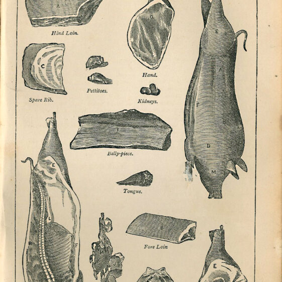 Mrs Beeton's Every Day Cookery. C.1930