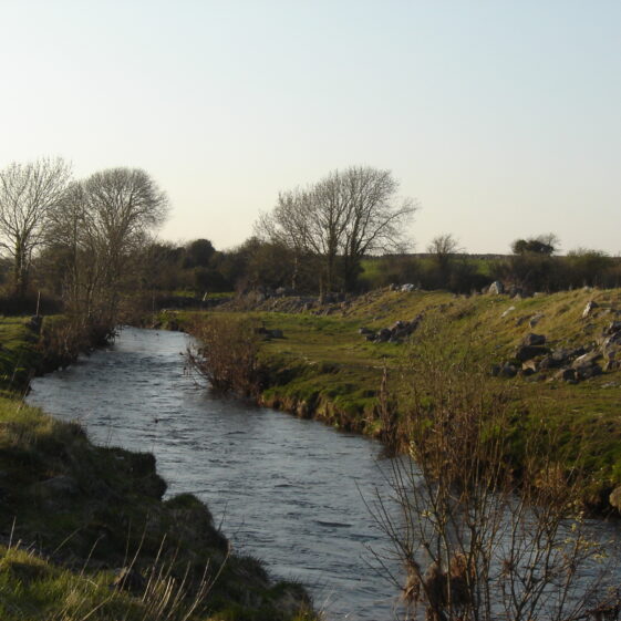 Grange river running through the late Martin Farrell's land in Coolreagh Grange river running through Martin Farrells land in Coolreagh | Photo: B. Forde