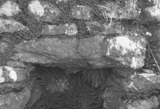 Barnaderg Lime Kiln