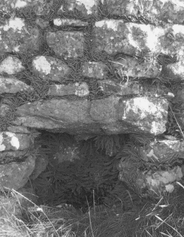 Lime Kiln  | Photo: Niamh Mannion, Cahernagry