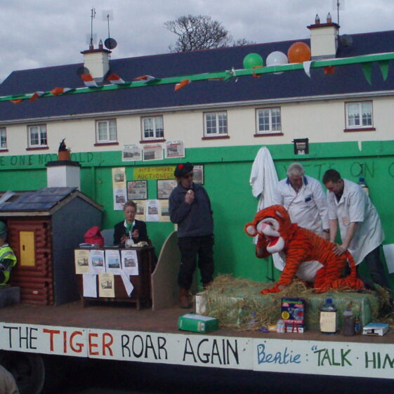 The Tiger Roars again St. Pat4rick's Day Parade, 2008 - The Tiger Roars Again | Bernadette Connolly, Clogherboy